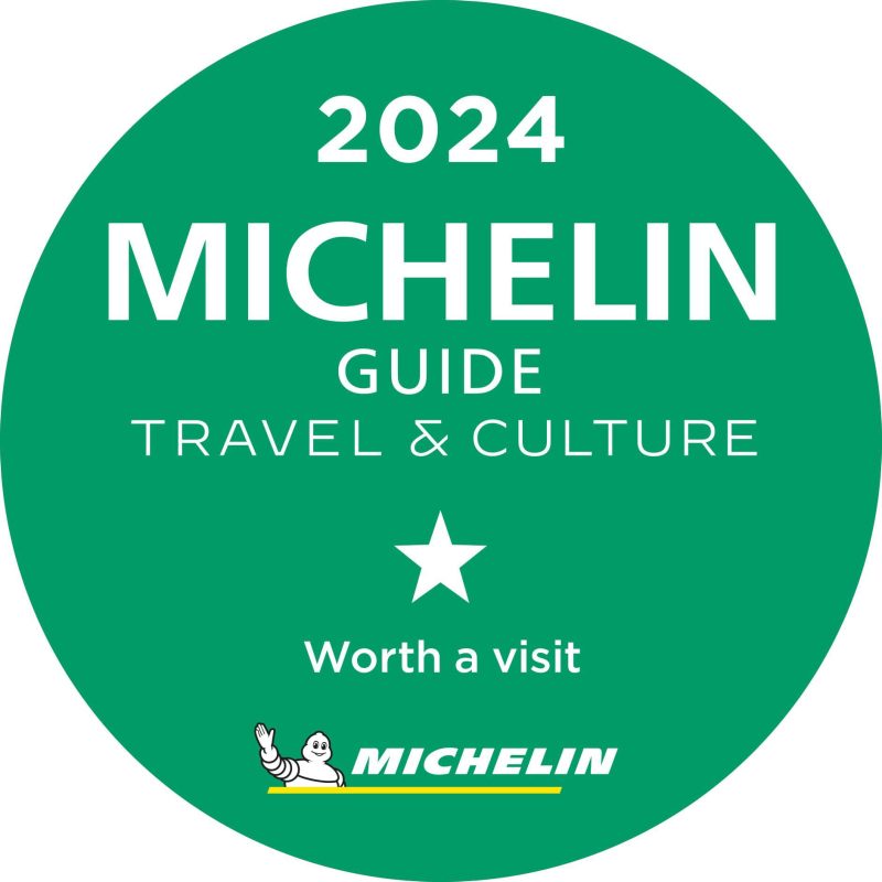 Michelinster